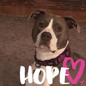 Meet your Posher, Karen